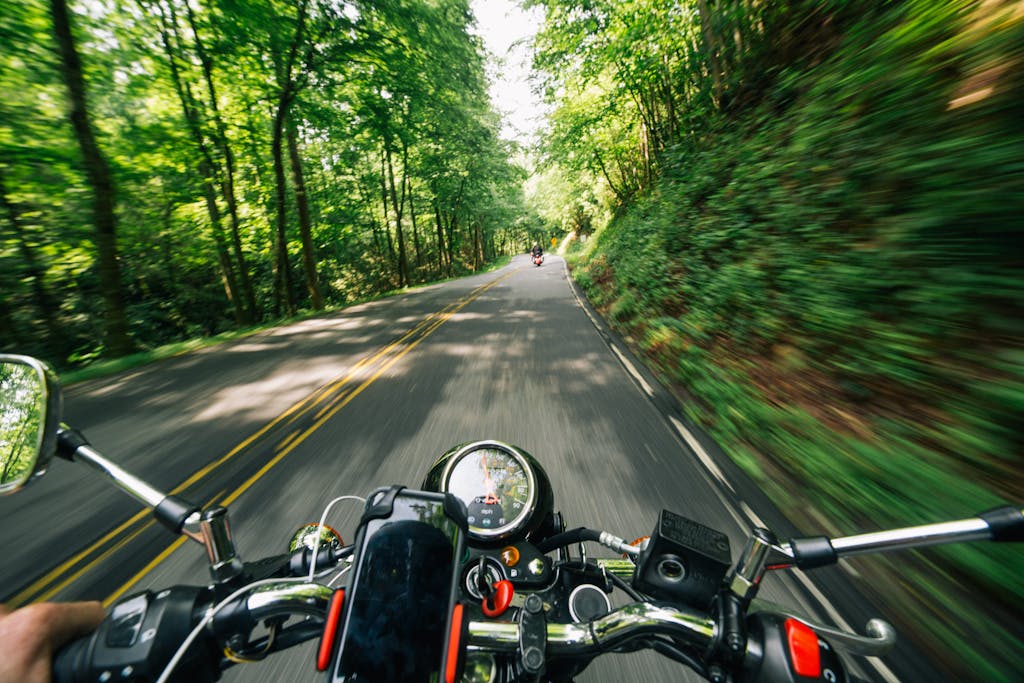 Vivez le frisson de la vitesse lors d'un voyage en moto à travers des routes forestières luxuriantes et sinueuses.